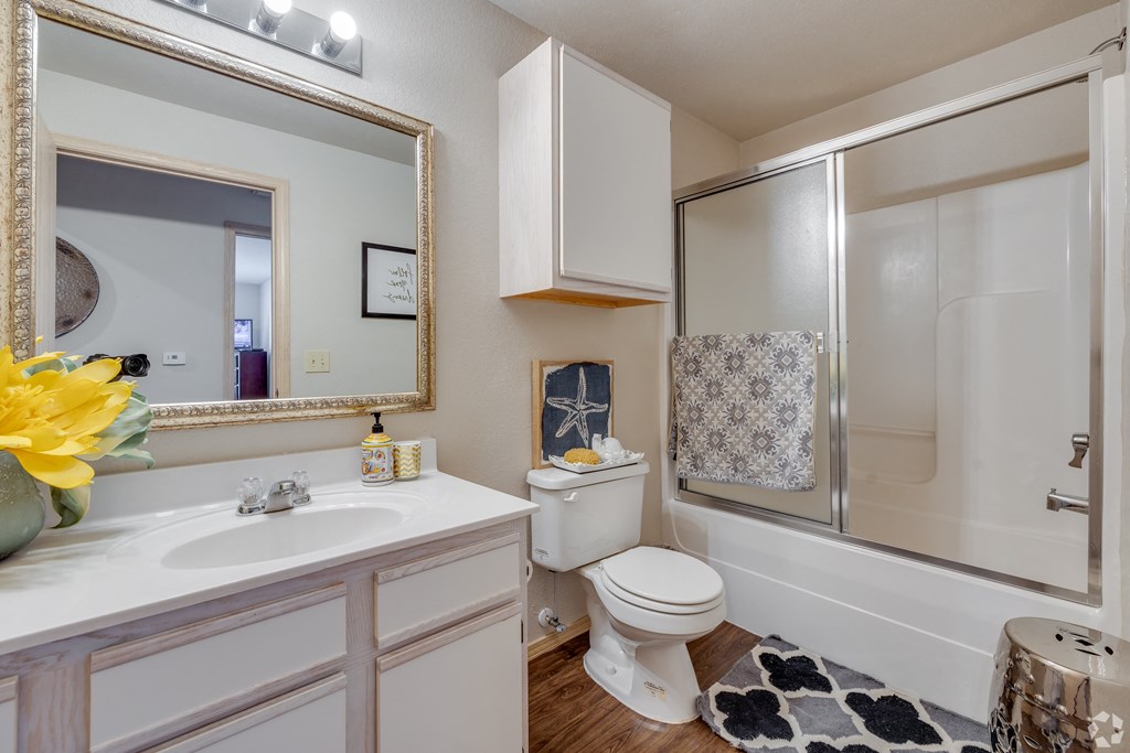 a bathroom with a shower toilet and sink and a mirror