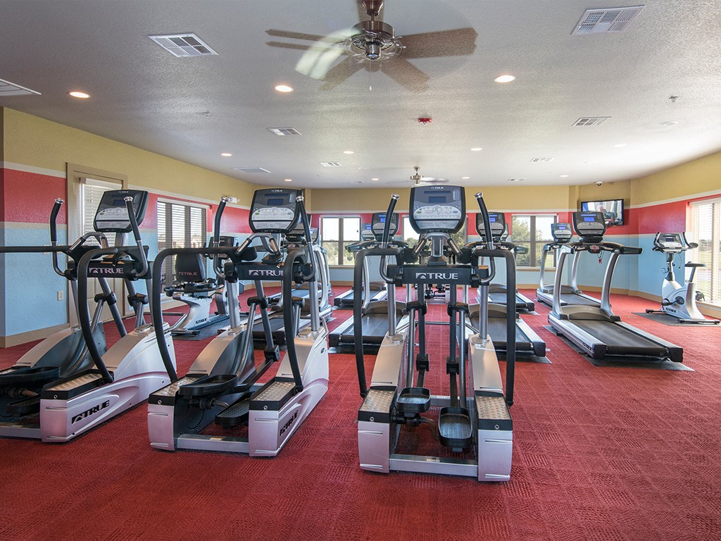 A gym with treadmills and elliptical machines.