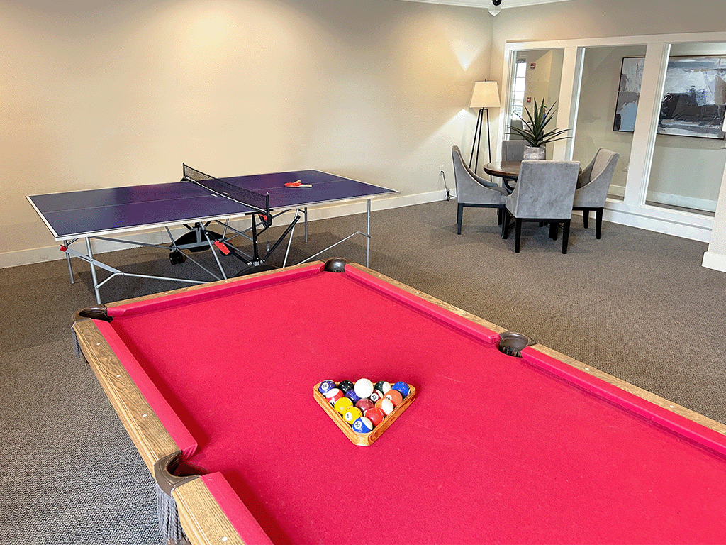 a games room with a pool table and ping pong