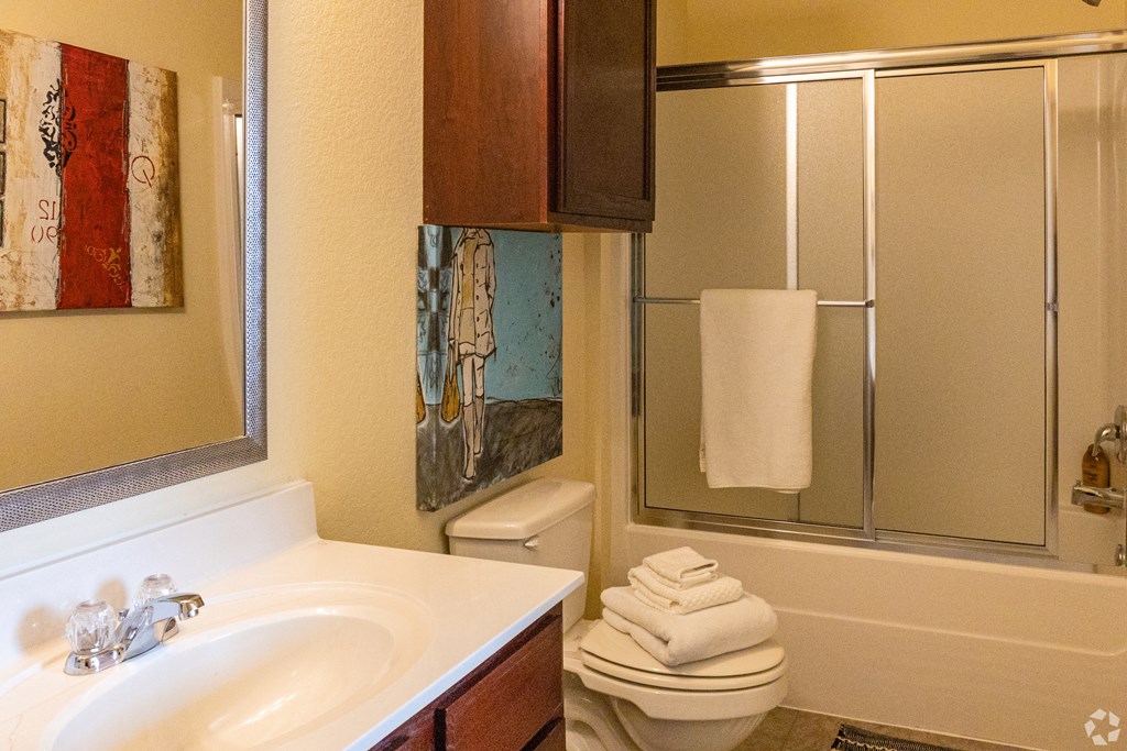 a bathroom with a sink and a toilet and a shower