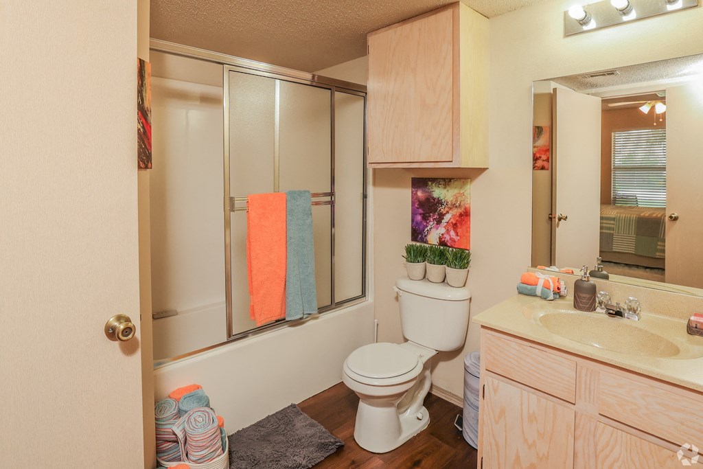 a bathroom with a toilet and a sink and a mirror
