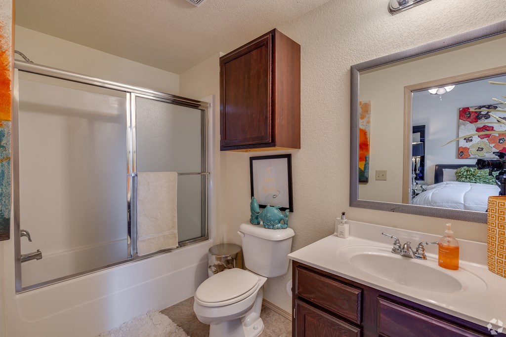 a bathroom with a shower toilet and sink and a mirror