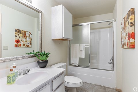 a bathroom with a sink toilet and a shower