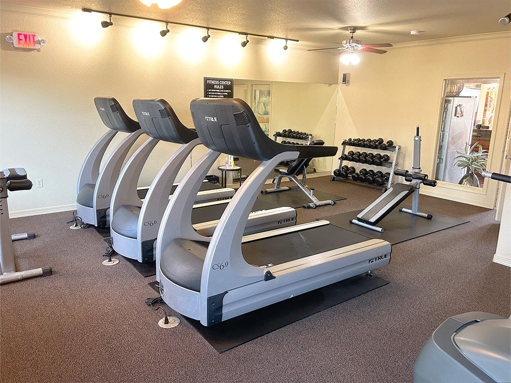 a state of the art gym with cardio machines and weights