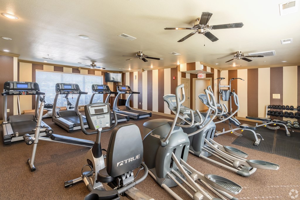 A gym with treadmills and elliptical machines.