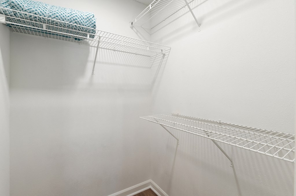 Walk-in Closet with Shelving