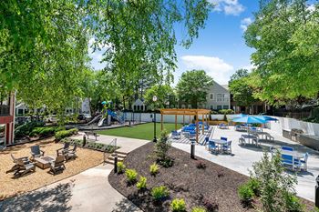 Amenity Area with Grills, Fire Pit, Seating and Playground