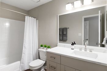Renovated bathroom with Grey Cabinets