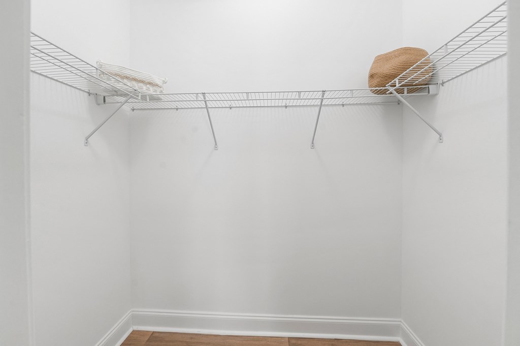 Walk-in Closet with Shelving