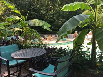 Poolside Terrace Poolside Terrace - Photo Gallery 4