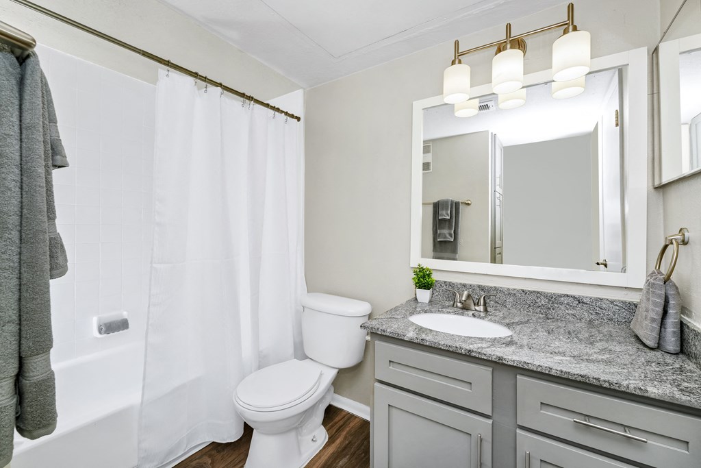 Bathroom with a shower and toilet and sink