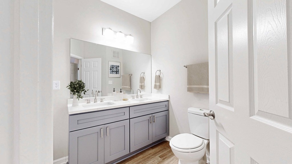 Bathroom with dual sinks