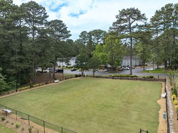 a large lawn in a park with trees