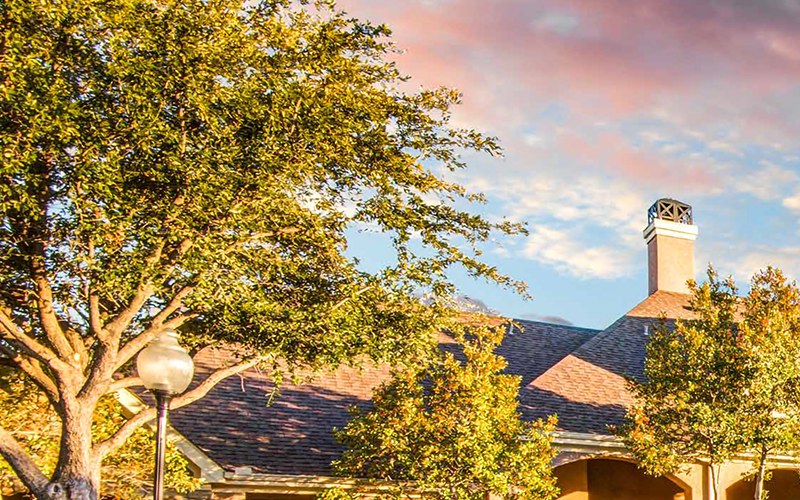 www villasofvistaridgeapts com