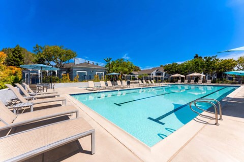 A large swimming pool with sun loungers and a clear blue sky.