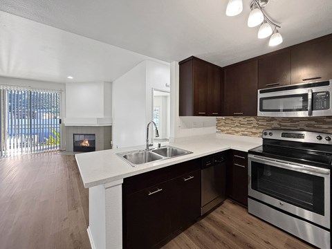 A modern kitchen with dark brown cabinets and stainless steel appliances.
