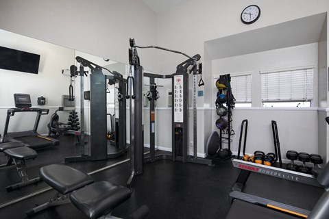A gym with a variety of equipment including weights and a bench.