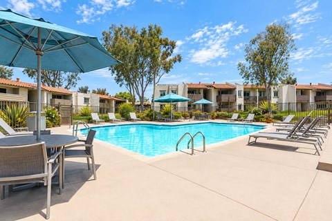 A pool surrounded by chairs and umbrellas with apartment buildings in the background.