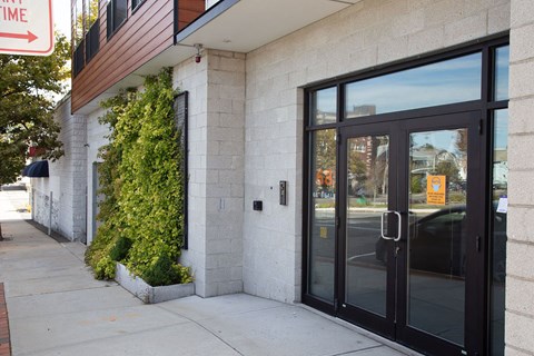A building with a black door and windows with a plant on the side.