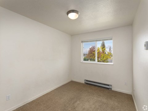 A room with a window showing trees outside.
