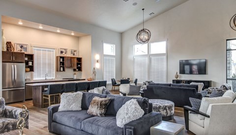 A modern living room with a grey couch and a television.