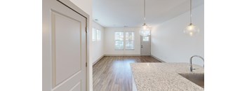 A kitchen with a sink and a window.
