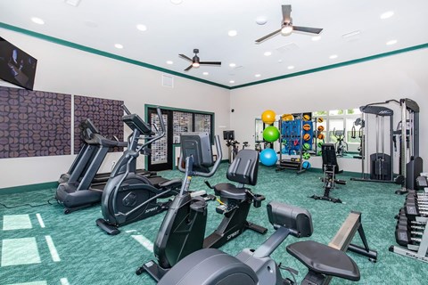 A well-equipped gym with a variety of exercise machines and equipment.