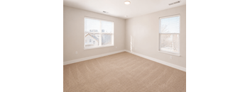 A room with beige carpet and two windows with blinds.