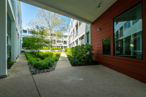 A view of a building's patio with a chalk drawing on the ground.