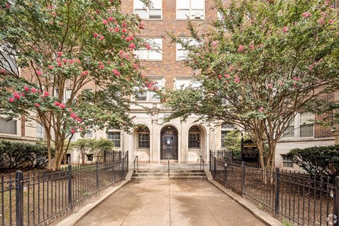 A tree with pink flowers is in front of a building.
