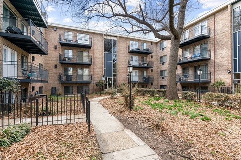 A tree stands in front of apartment buildings.