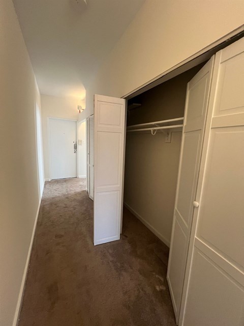 A hallway with white doors and a carpeted floor.