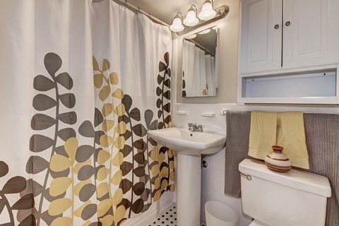 6600 Luzon Ave NW Studio-1 Apartment for Rent