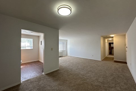 A spacious room with carpeted floor and white walls.