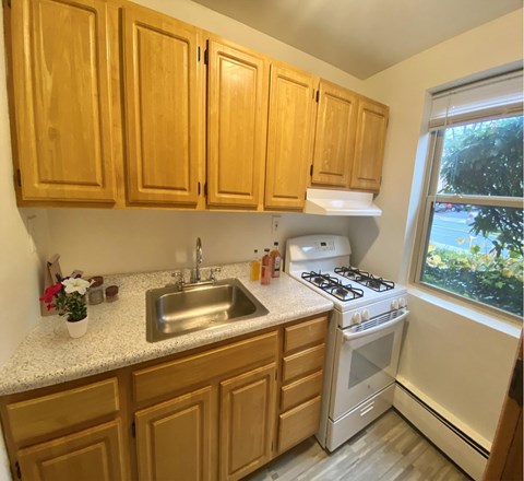 703 Lenmore Ave Studio-3 Beds Apartment for Rent