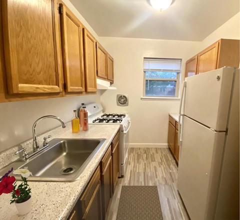 703 Lenmore Ave Studio-3 Beds Apartment for Rent