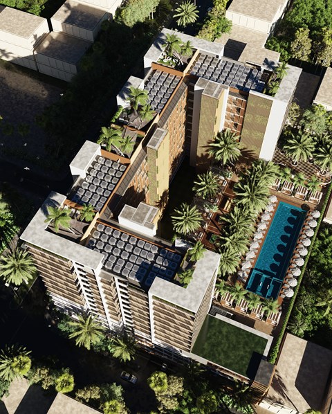 A modern house with a pool surrounded by palm trees.