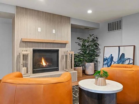 A living room with a fireplace and a plant.