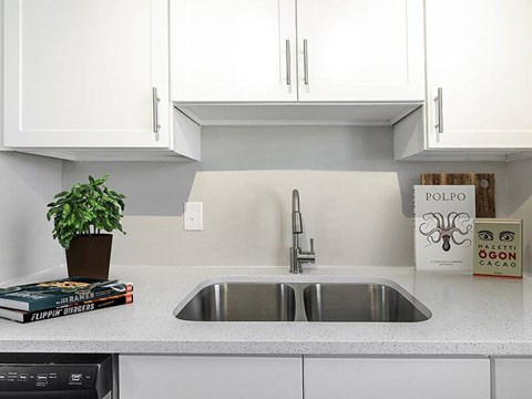 A kitchen with a sink and a plant on the counter.