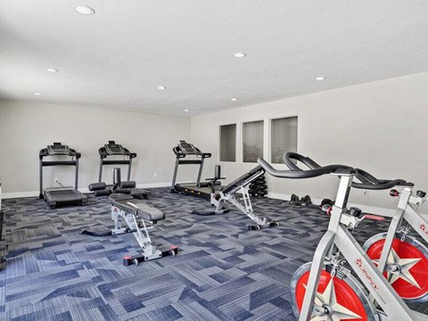 A gym with a variety of equipment including treadmills, rowing machines, and exercise bikes.