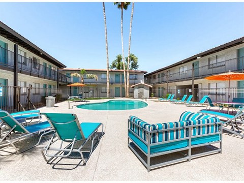 A pool area with lounge chairs and a palm tree.