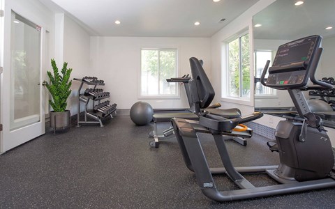 A gym with treadmills and elliptical machines.
