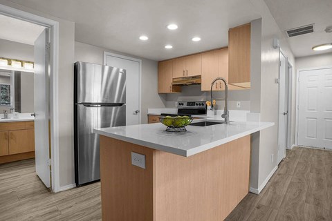 A modern kitchen with a refrigerator, stove, and sink.