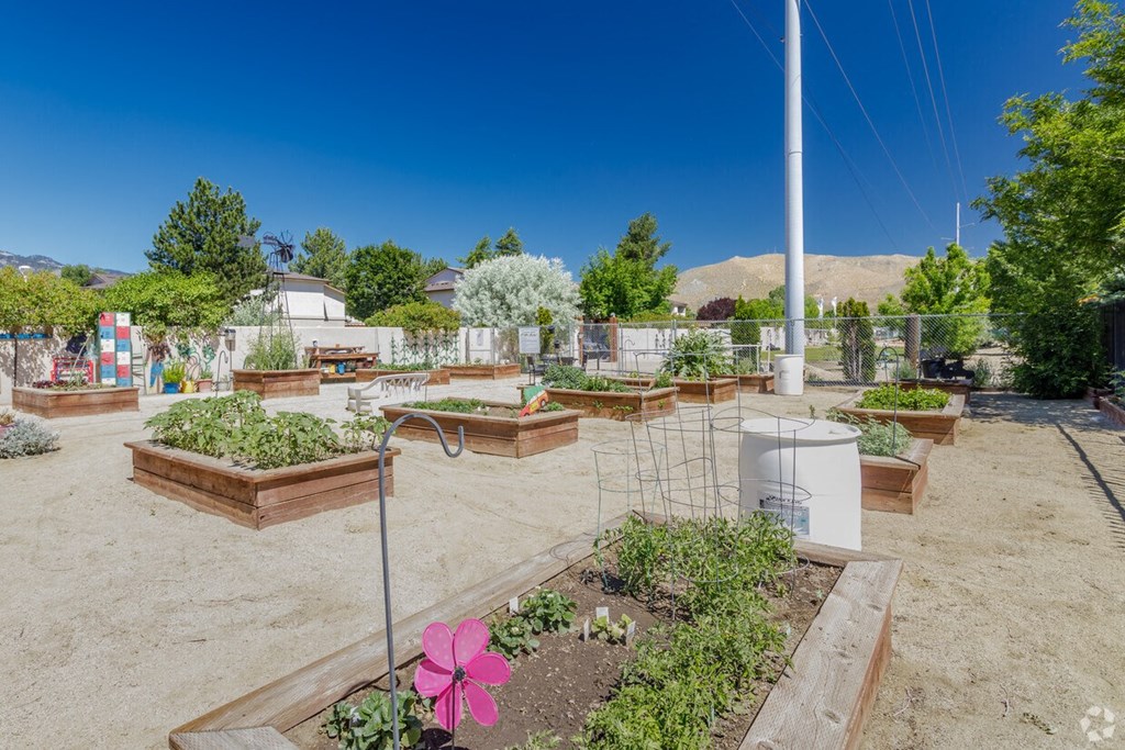 Community Garden 2
