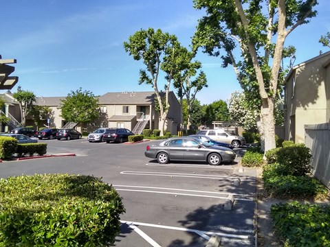 Colonial Farms Apartments - view of parking lot with apartment buildings in the background