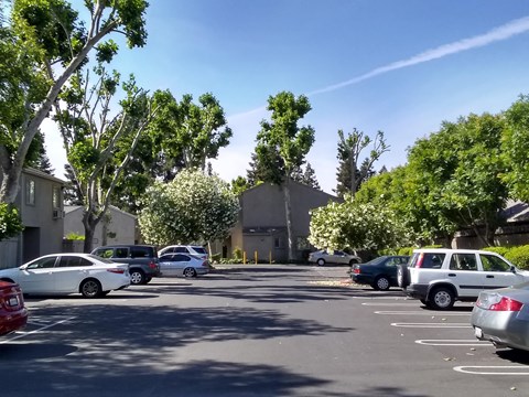 Colonial Farms Apartments - view of parking lot with apartment buildings in the background