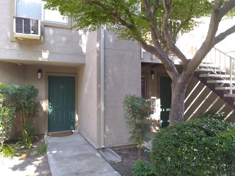 A tree is in front of a building with a green door.