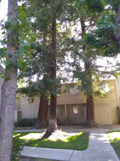 Colonial Farms Apartments - apartment building with trees and grass out front
