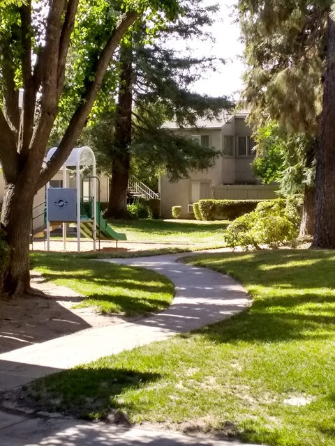 A playground with a slide and a green lawn.