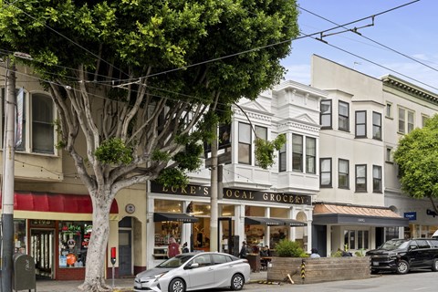 A tree in front of a building with a sign that says "Brick's Local Grocery".